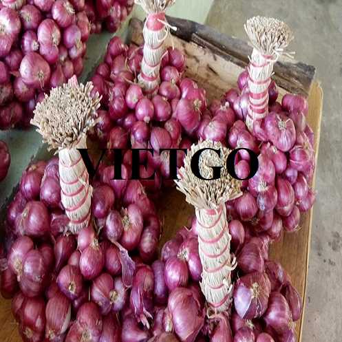 Cơ hội hợp tác xuất khẩu hành đến thị trường Philippines 