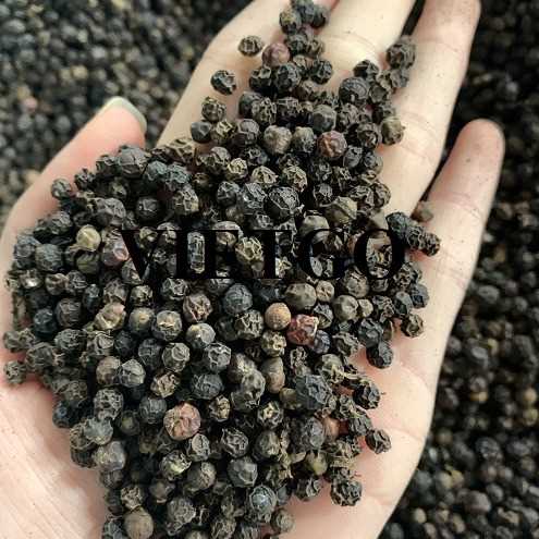 Cơ hội hợp tác xuất khẩu hạt tiêu đến thị trường Ấn Độ 