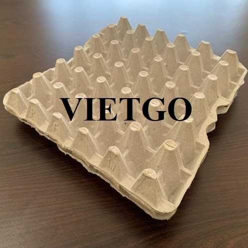 Cơ hội hợp tác xuất khẩu khay giấy đựng trứng tới thị trường Israel