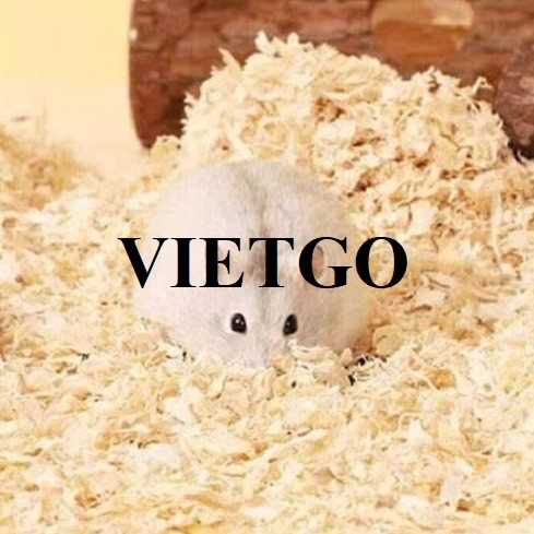 Thương vụ xuất khẩu dăm bào sang thị trường Hàn Quốc