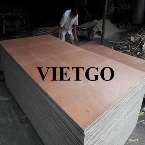 Thương vụ xuất khẩu gỗ dán sang thị trường Ấn Độ