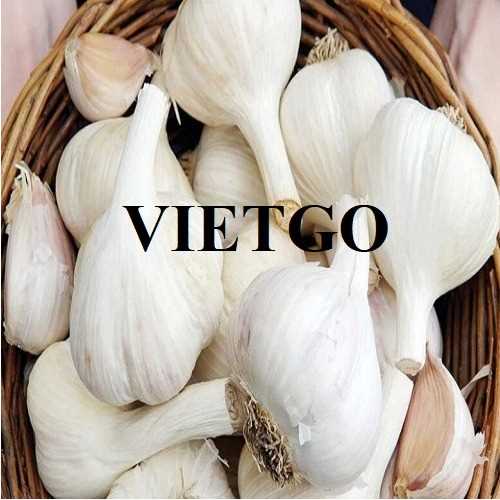 Cơ hội hợp tác xuất khẩu tỏi trắng đến thị trường Philippines 