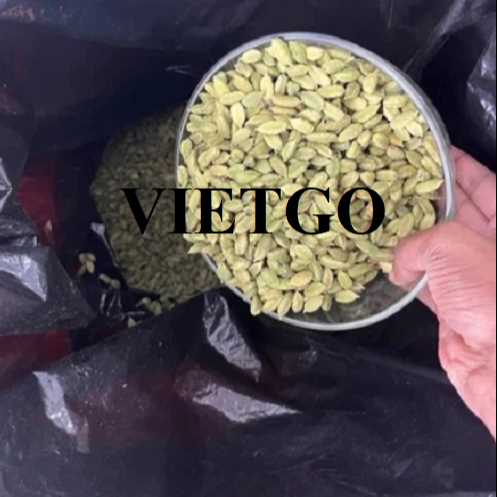 Cơ hội hợp tác xuất khẩu thảo quả đến thị trường Jordan 