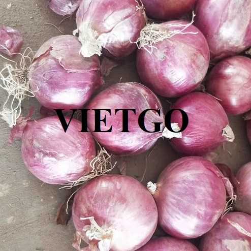 Cơ hội hợp tác xuất khẩu hành đến thị trường Ấn Độ  