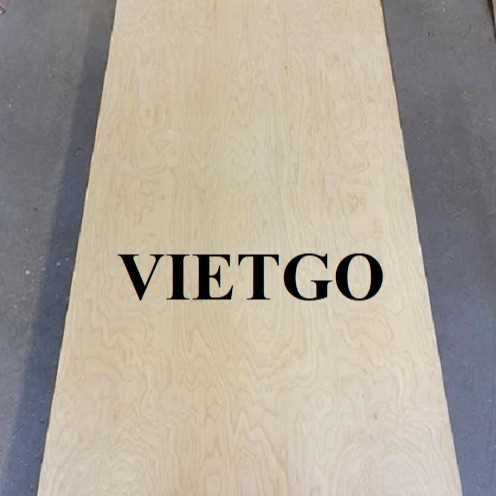 Cơ hội xuất khẩu gỗ dán sang thị trường Mỹ