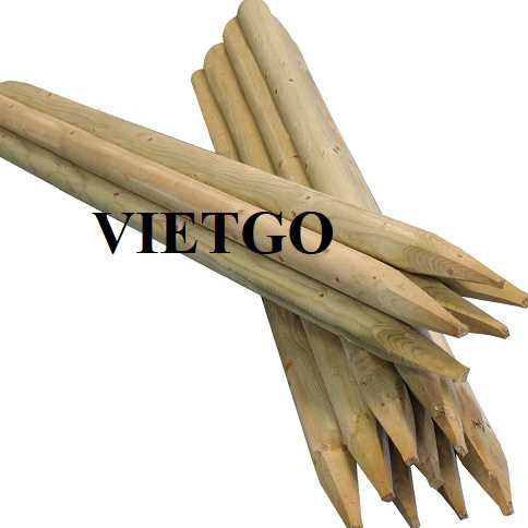 Cơ hội xuất khẩu cọc gỗ keo sang thị trường UAE