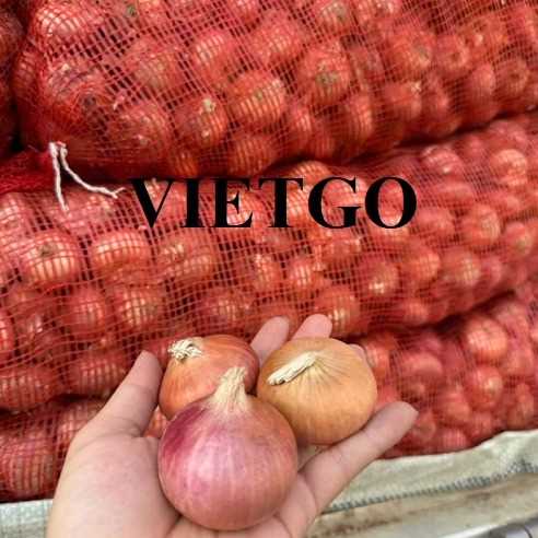 Cơ hội hợp tác xuất khẩu hành tím sang thị trường Ấn Độ