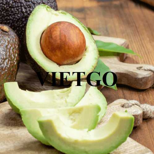 Cơ hội hợp tác xuất khẩu bơ Hass đến thị trường UAE