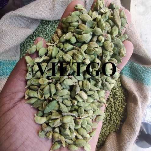 Cơ hội xuất khẩu thảo quả xanh đến thị trường Afghanistan