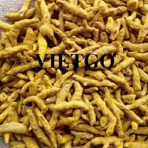 Cơ hội giao thương xuất khẩu nghệ khô sang thị trường Trung Quốc