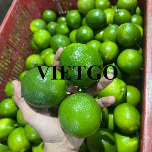 Cơ hội xuất khẩu chanh xanh không hạt sang thị trường Maldives