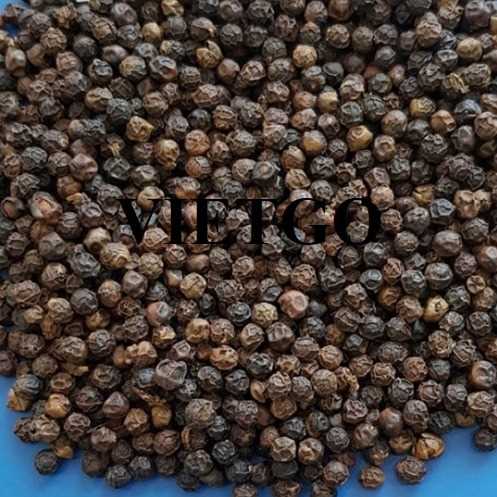 Cơ hội xuất khẩu hạt tiêu đen sang thị trường Maldives