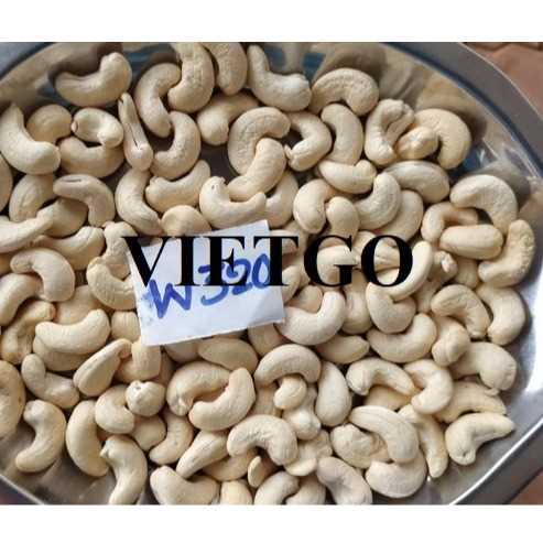 Cơ hội xuất khẩu hạt điều nhân trắng w320 sang thị trường Maldives