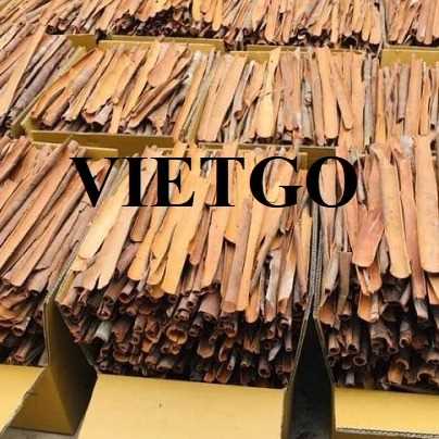 Cơ hội hợp tác xuất khẩu quế chẻ sang thị trường Ấn Độ