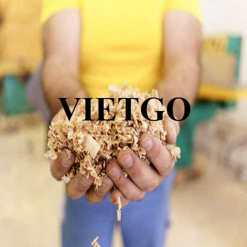 Thương vụ xuất khẩu dăm bào đến thị trường Vương quốc Anh 