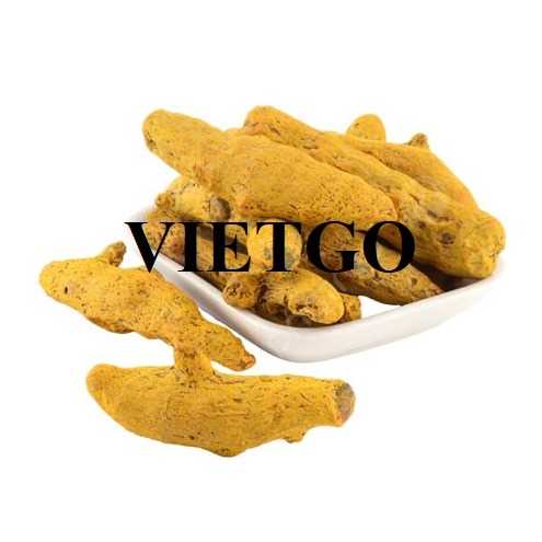 (Gấp) Cơ hội hợp tác xuất khẩu nghệ đến thị trường UAE 