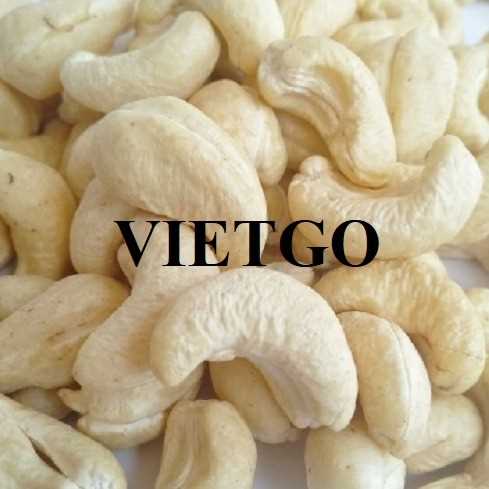 Cơ hội hợp tác xuất khẩu hạt điều sang thị trường Ấn Độ