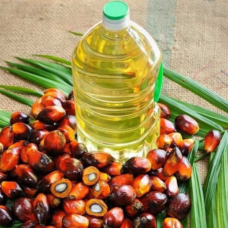 I want to buy Palm Oil