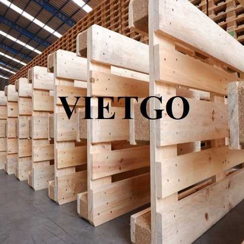 Cơ hội hợp tác xuất khẩu pallet Epal tới thị trường Italy