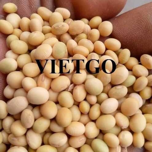 Cơ hội xuất khẩu đậu nành sang thị trường Thái Lan