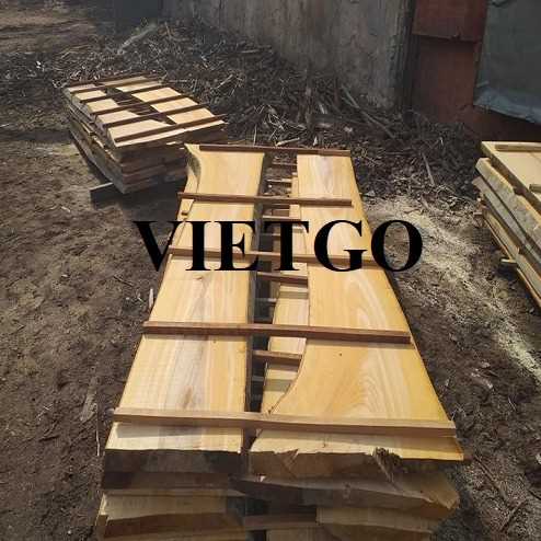 Thương vụ xuất khẩu sản phẩm gỗ dẻ gai xẻ đến thị trường Ấn Độ