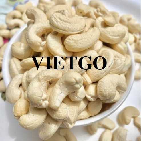 Cơ hội xuất khẩu hạt điều đến thị trường Ấn Độ