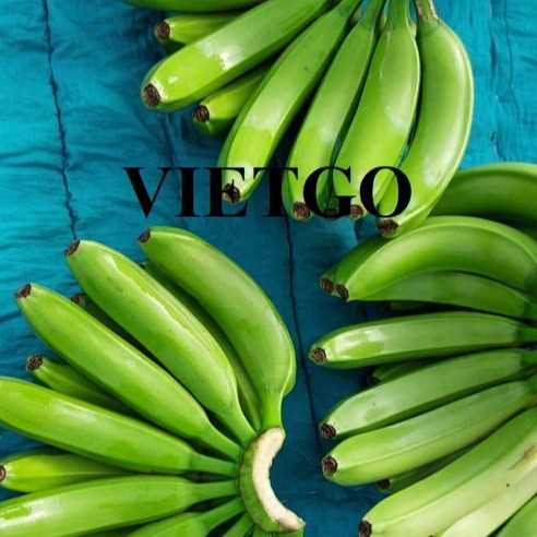 Cơ hội xuất khẩu chuối xanh Cavendish sang thị trường Ai Cập