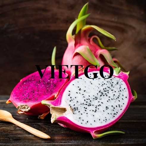 Cơ hội xuất khẩu thanh long sang thị trường Ấn Độ