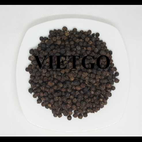 Cơ hội hợp tác xuất khẩu hạt tiêu đến thị trường Iran 