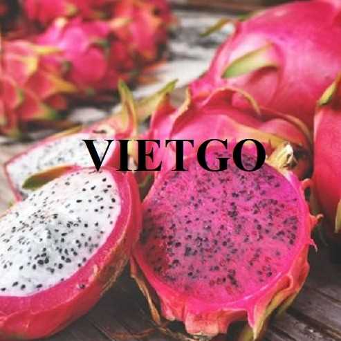 Cơ hội hợp tác xuất khẩu thanh long sang thị trường UAE