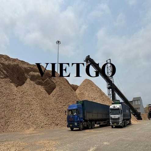 Thương vụ xuất khẩu sản phẩm gỗ vụn sang thị trường Trung Quốc 