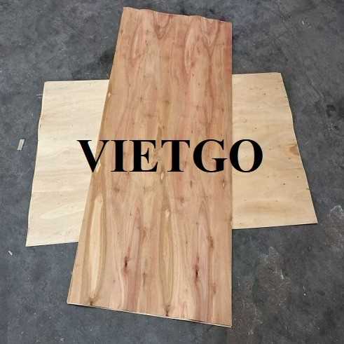 Thương vụ xuất khẩu sản phẩm ván bóc sang thị trường Ấn Độ