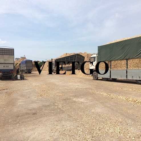 Thương vụ xuất khẩu gỗ vụn đến thị trường Ấn Độ 