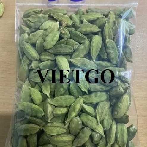 Cơ hội hợp tác xuất khẩu thảo quả đến thị trường Jordan