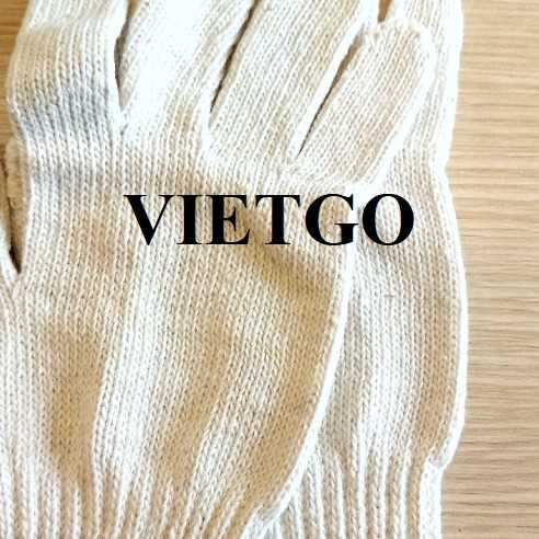 Cơ hội xuất khẩu găng tay lao động đến thị trường Hàn Quốc