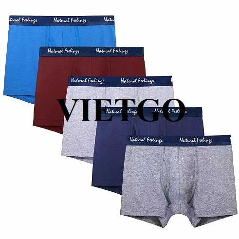 Cơ hội xuất khẩu quần nội y nam tới Cộng hòa Séc 