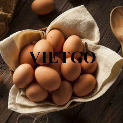 Cơ hội hợp tác xuất khẩu trứng sang thị trường UAE