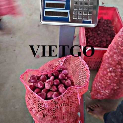 Cơ hội xuất khẩu hành tím nhỏ tới thị trường Sri Lanka