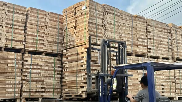 Cần tìm đơn vị vận tải vận chuyển hàng gỗ xẻ đi Ai Cập