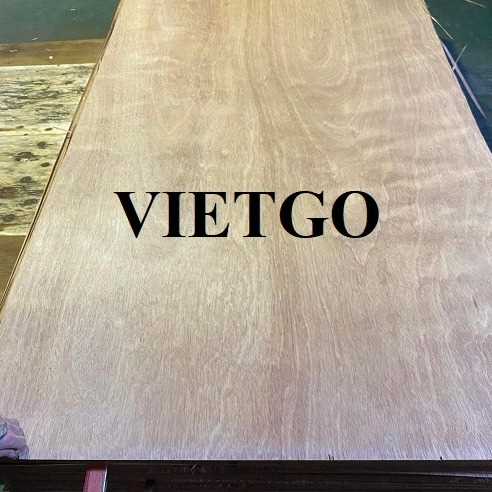 Thương vụ xuất khẩu gỗ dán đến thị trường Ấn Độ