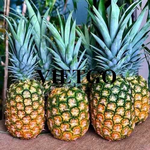 Cơ hội hợp tác xuất khẩu dứa MD2 đến thị trường Iran