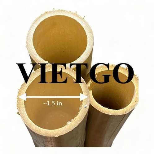 Cơ hội xuất khẩu gậy tre sang thị trường Ấn Độ