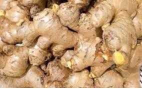 Cần tìm đơn vị vận tải vận chuyển mặt hàng gừng đến Klang, Malaysia, Karachi, Pakistan