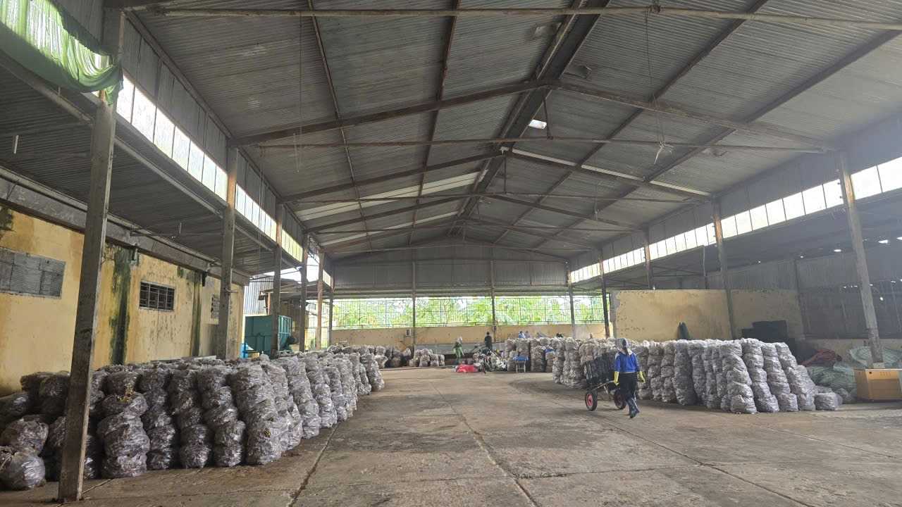 Cần tìm đơn vị vận tải sản phẩm gừng sang Pakistan