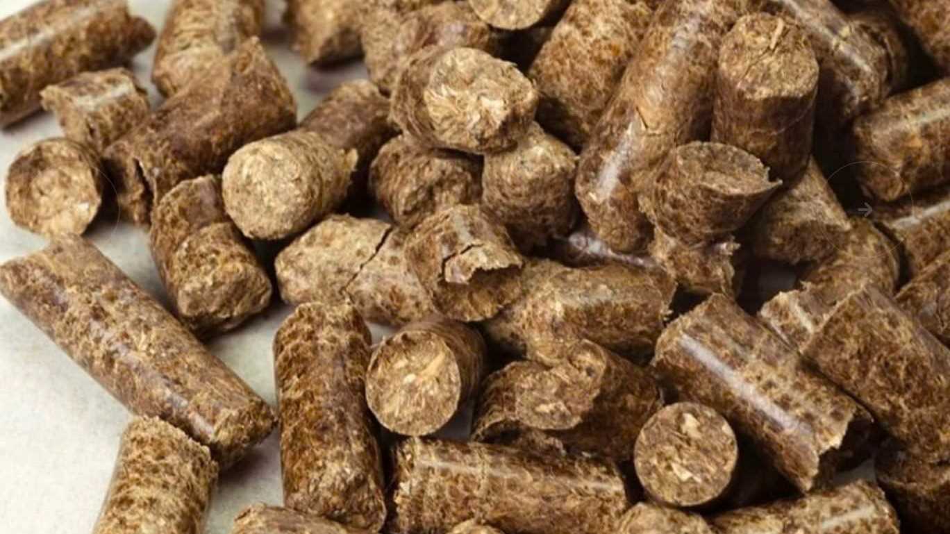 Cần tìm đơn vị FWD sản phẩm viên nén sang Malaysia