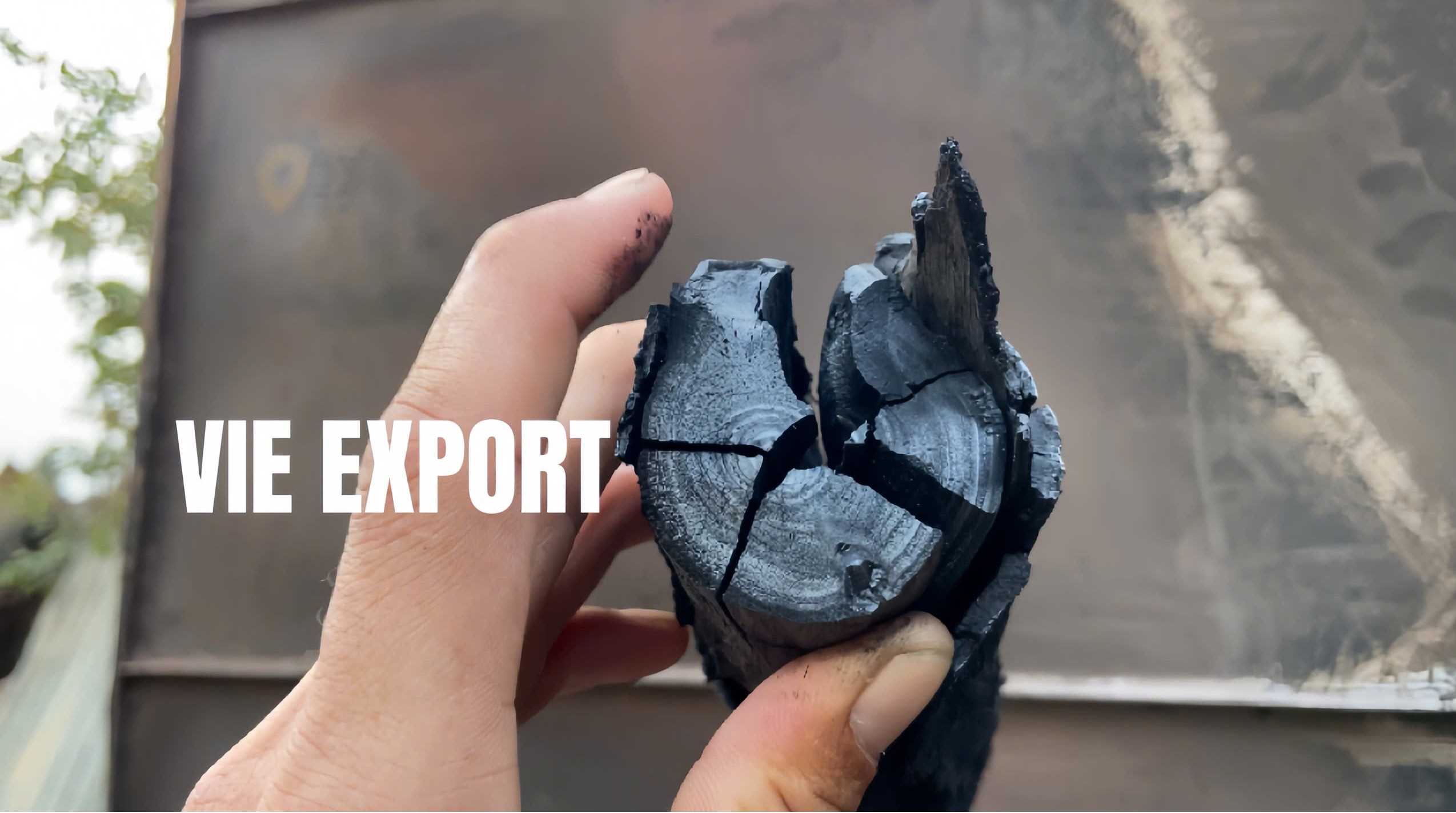 Cần tìm đơn vị vận tải vận chuyển mặt hàng Than đen (gỗ đước) đến Ấn Độ