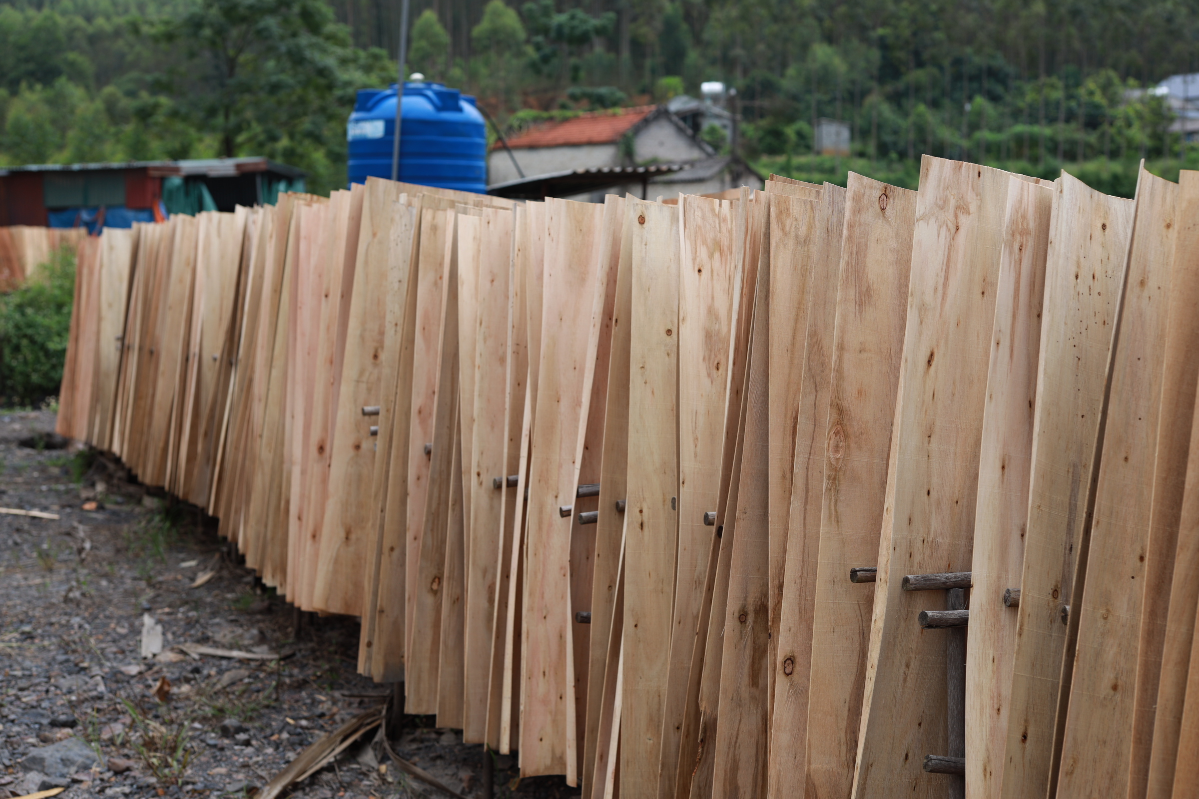 Cần tìm đơn vị vận tải vận chuyển mặt hàng ván bóc đi Ấn Độ 