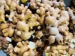 Cần tìm đơn vị vận tải vận chuyển mặt hàng gừng đi Trung Quốc