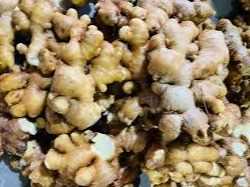 Cần tìm đơn vị vận tải vận chuyển mặt hàng gừng tươi sang Oman