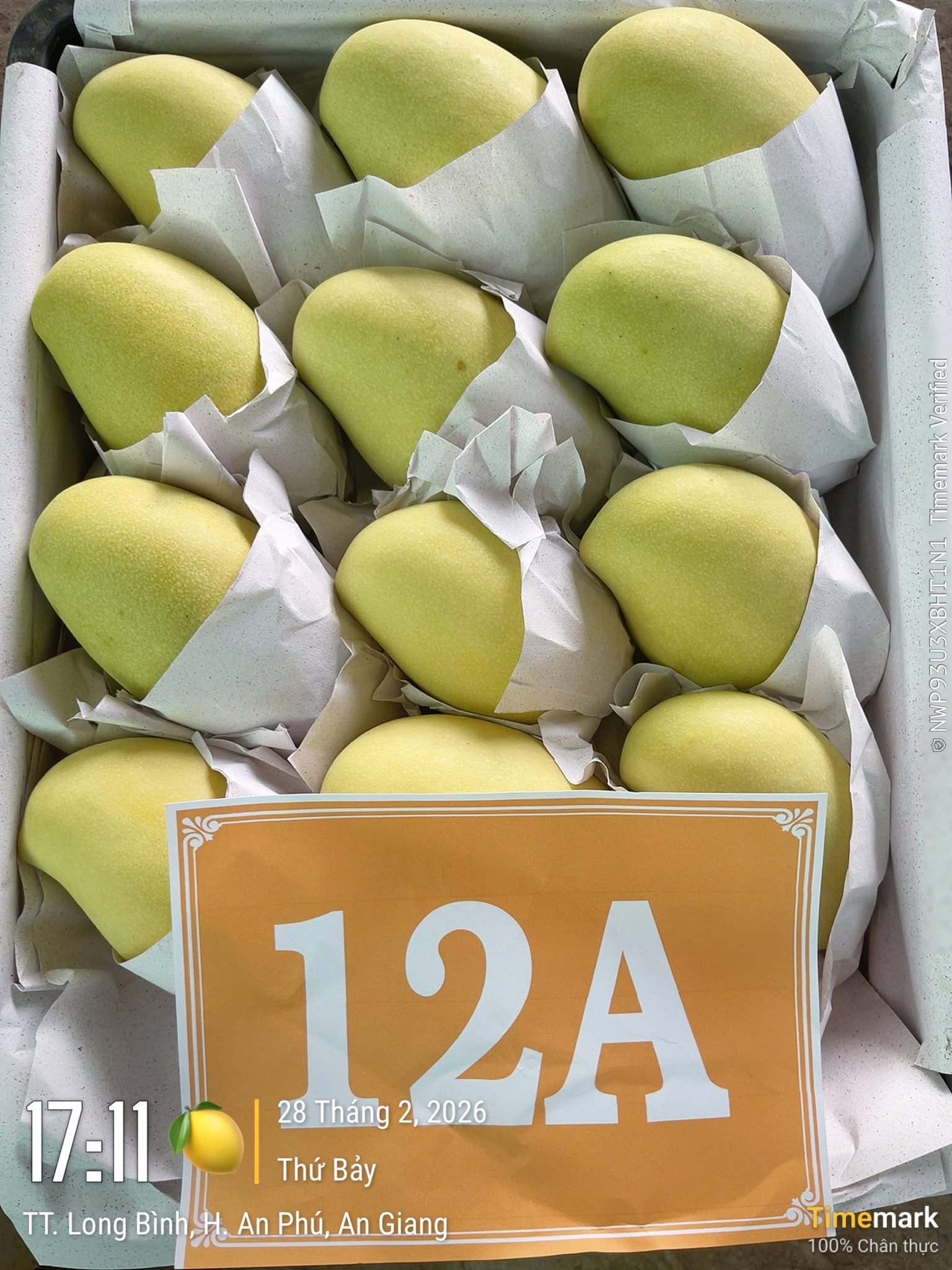 Cần tìm forwarder chuyên làm tuyến air cho lô hàng xoài tươi đến Shermetyevo Airport in Moscow và Heathrow air port (Anh)